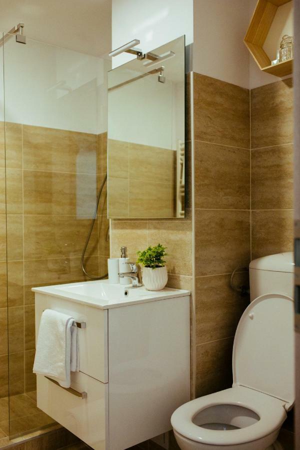 Urban Living Apartment Temešvár Exteriér fotografie