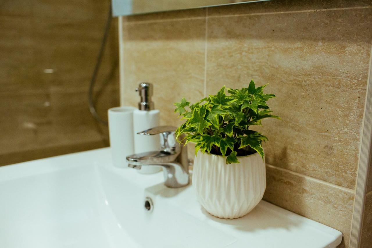 Urban Living Apartment Temešvár Exteriér fotografie